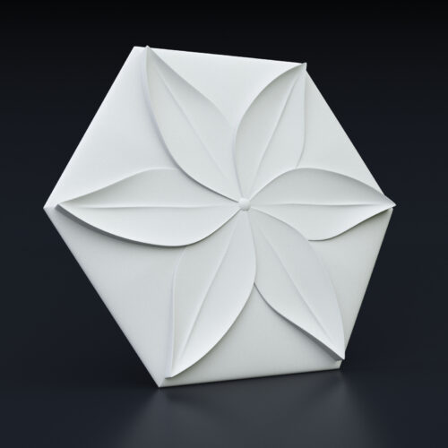 3. Flower 3D